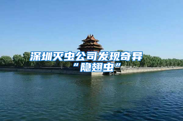 深圳滅蟲公司發現奇異“隱翅蟲”