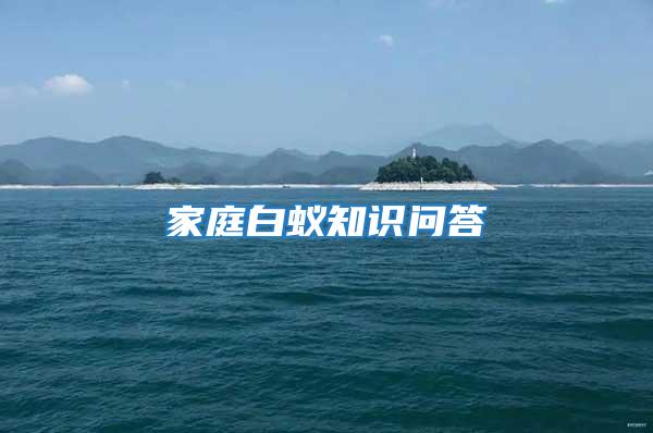 家庭白蟻知識問答