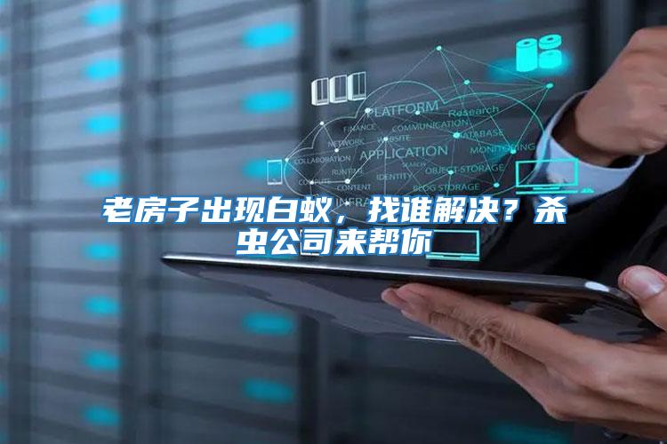 老房子出現白蟻，找誰解決？殺蟲公司來幫你