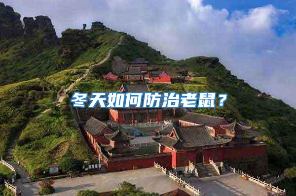 冬天如何防治老鼠？