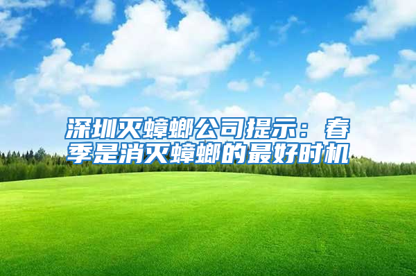 深圳滅蟑螂公司提示：春季是消滅蟑螂的最好時機