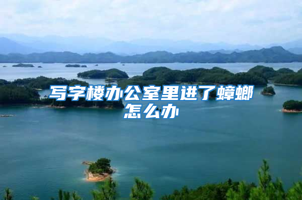 寫字樓辦公室里進了蟑螂怎么辦