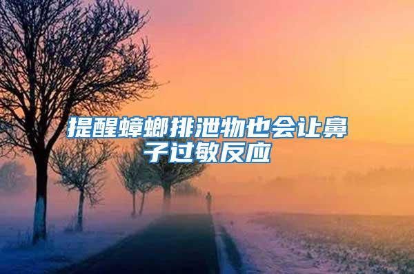 提醒蟑螂排泄物也會讓鼻子過敏反應