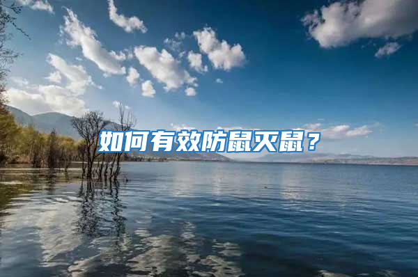 如何有效防鼠滅鼠？