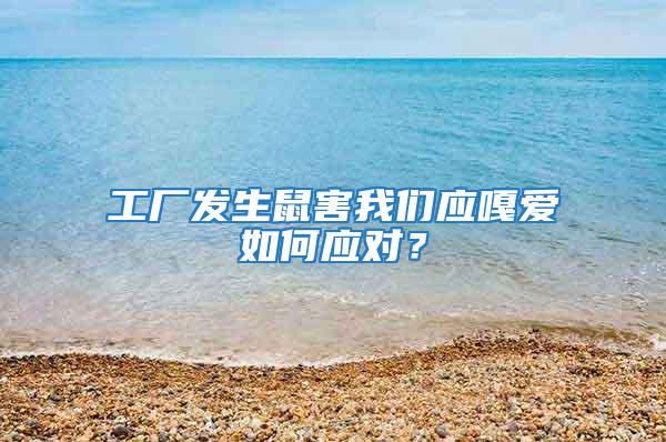 工廠發生鼠害我們應嘎愛如何應對？