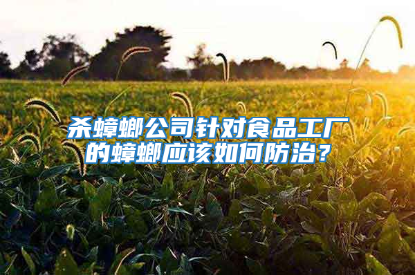 殺蟑螂公司針對食品工廠的蟑螂應該如何防治？