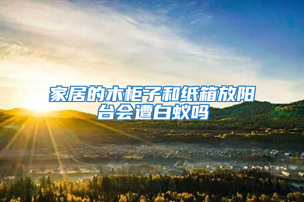家居的木柜子和紙箱放陽臺會遭白蟻嗎