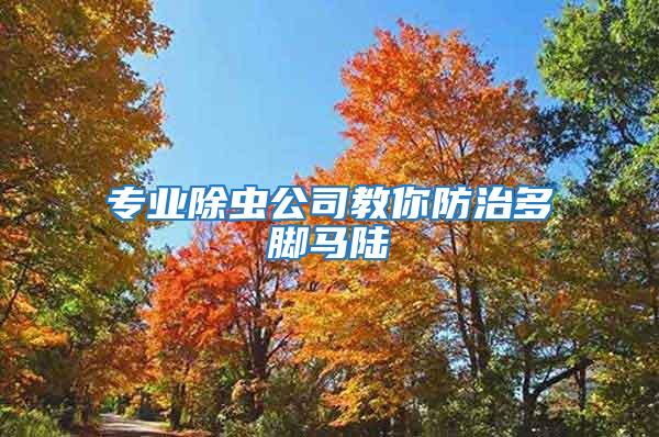 專業除蟲公司教你防治多腳馬陸