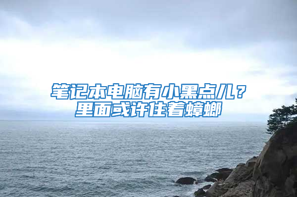 筆記本電腦有小黑點兒？里面或許住著蟑螂