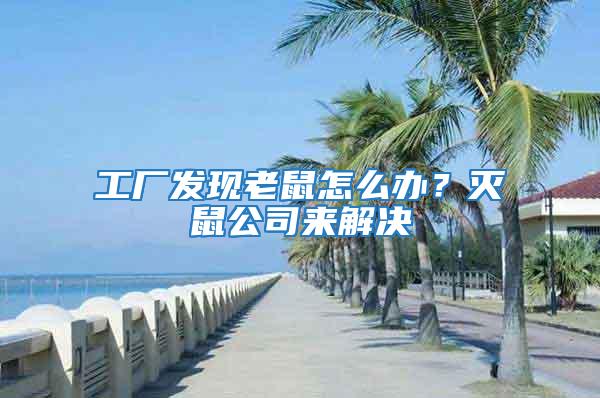 工廠發(fā)現(xiàn)老鼠怎么辦？滅鼠公司來(lái)解決