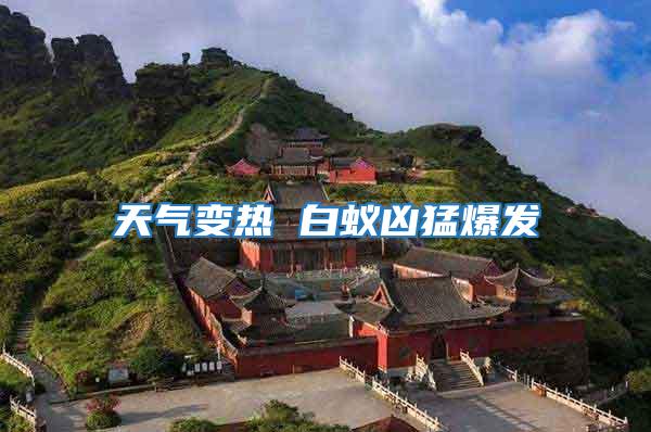 天氣變熱 白蟻兇猛爆發
