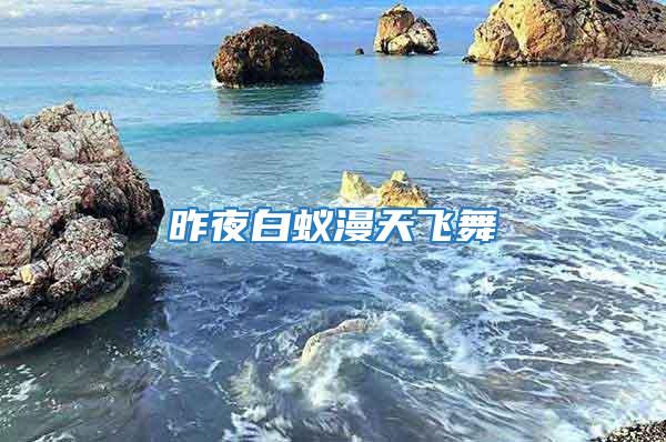 昨夜白蟻漫天飛舞