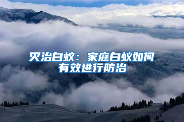 滅治白蟻：家庭白蟻如何有效進行防治