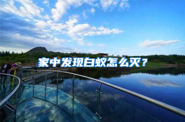 家中發現白蟻怎么滅？