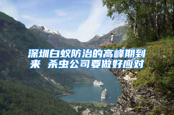 深圳白蟻防治的高峰期到來 殺蟲公司要做好應對