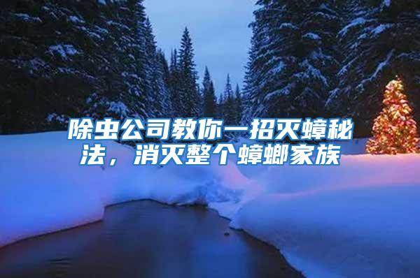 除蟲公司教你一招滅蟑秘法，消滅整個(gè)蟑螂家族