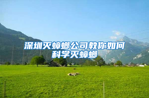 深圳滅蟑螂公司教你如何科學滅蟑螂