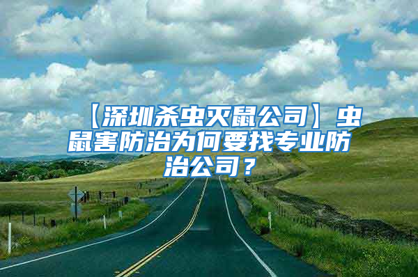 【深圳殺蟲滅鼠公司】蟲鼠害防治為何要找專業防治公司？