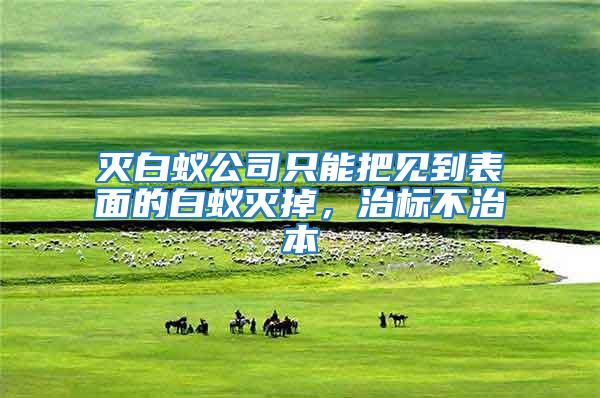 滅白蟻公司只能把見到表面的白蟻滅掉，治標不治本