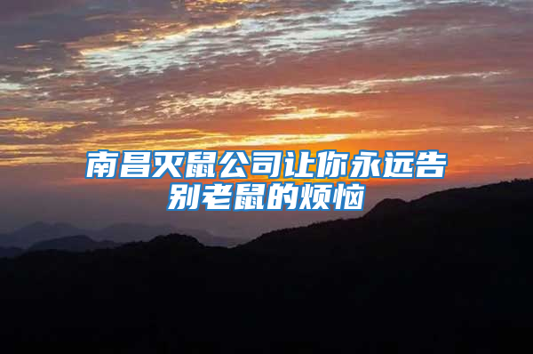 南昌滅鼠公司讓你永遠告別老鼠的煩惱