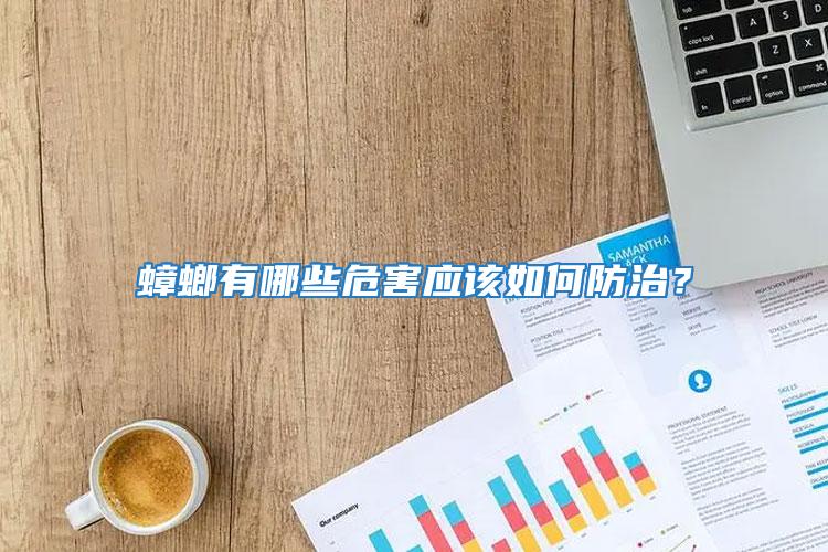蟑螂有哪些危害應(yīng)該如何防治？