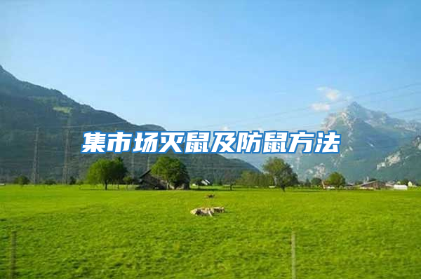 集市場滅鼠及防鼠方法