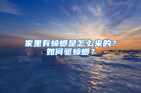 家里有蟑螂是怎么來的？如何驅蟑螂？