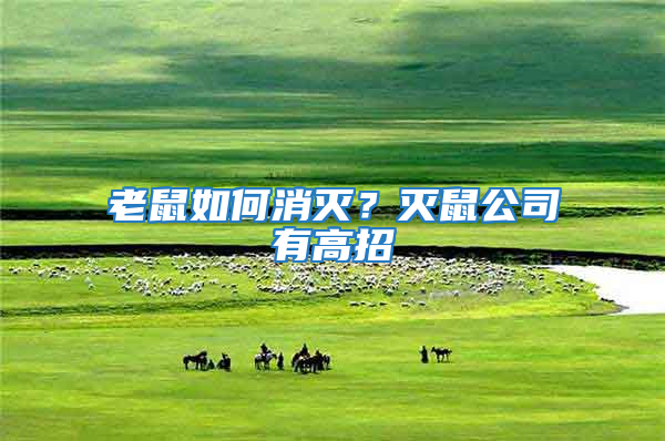老鼠如何消滅？滅鼠公司有高招