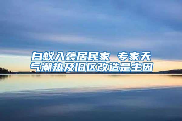 白蟻入襲居民家 專家天氣潮熱及舊區(qū)改造是主因