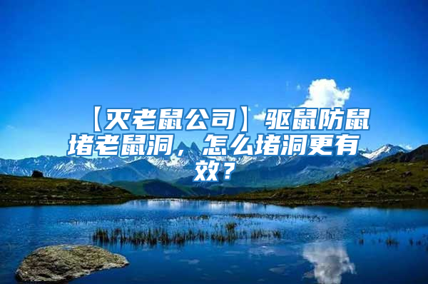 【滅老鼠公司】驅鼠防鼠堵老鼠洞，怎么堵洞更有效？