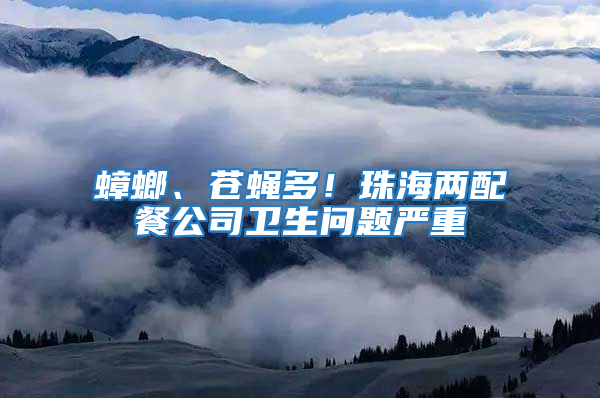 蟑螂、蒼蠅多！珠海兩配餐公司衛生問題嚴重