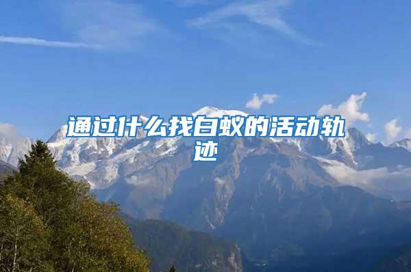通過(guò)什么找白蟻的活動(dòng)軌跡
