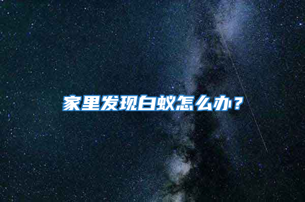家里發(fā)現(xiàn)白蟻怎么辦？