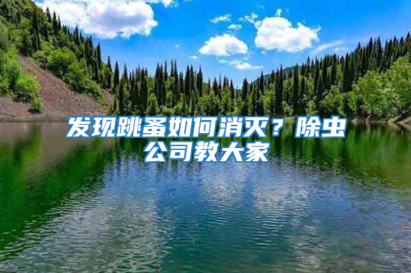 發現跳蚤如何消滅？除蟲公司教大家