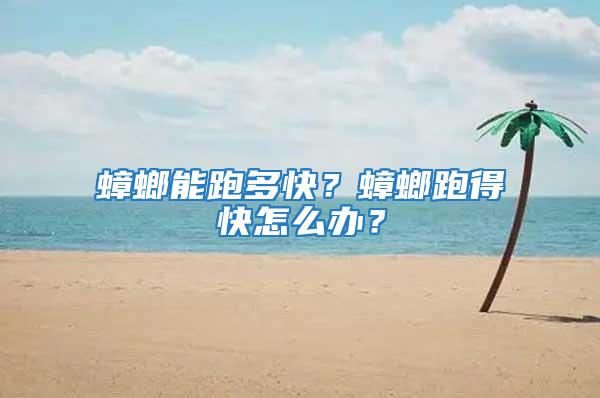 蟑螂能跑多快？蟑螂跑得快怎么辦？