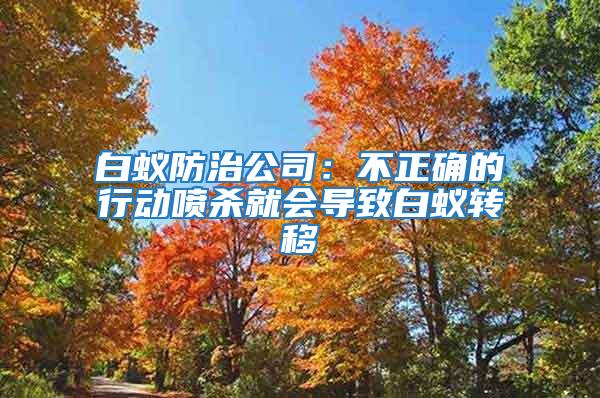 白蟻防治公司：不正確的行動噴殺就會導致白蟻轉移