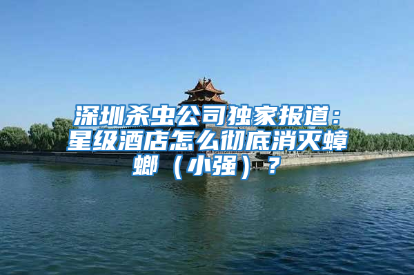 深圳殺蟲公司獨家報道：星級酒店怎么徹底消滅蟑螂（小強）？