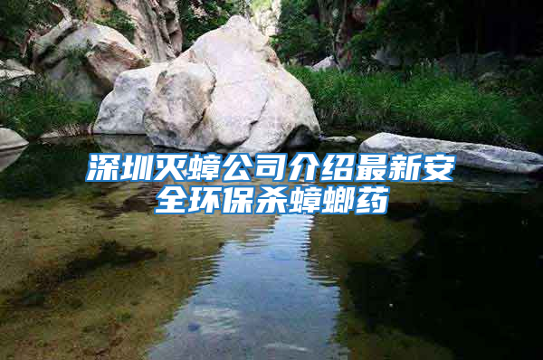 深圳滅蟑公司介紹最新安全環保殺蟑螂藥