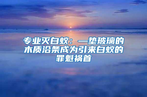 專業(yè)滅白蟻：—墊玻璃的木質(zhì)沿條成為引來白蟻的罪魁禍?zhǔn)?/></p>
             <p style=