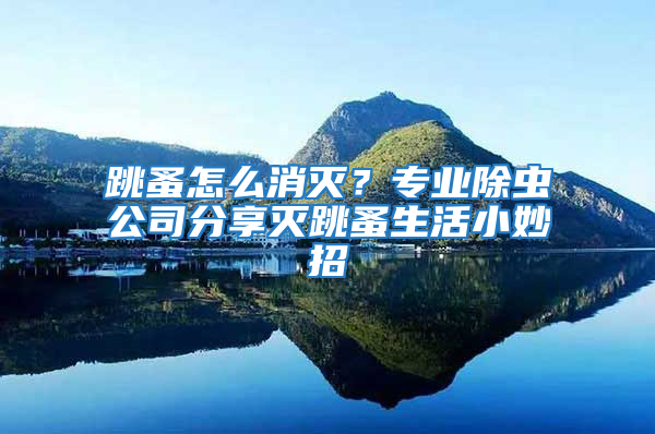跳蚤怎么消滅？專業除蟲公司分享滅跳蚤生活小妙招