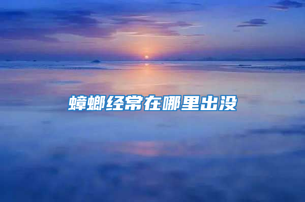蟑螂經常在哪里出沒