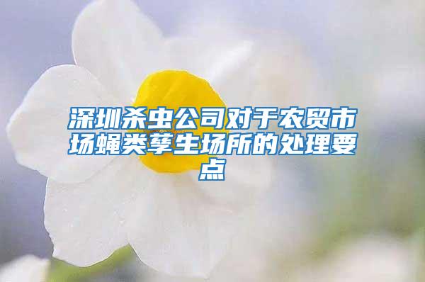 深圳殺蟲公司對(duì)于農(nóng)貿(mào)市場蠅類孳生場所的處理要點(diǎn)