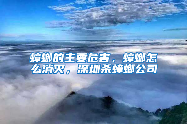 蟑螂的主要危害，蟑螂怎么消滅，深圳殺蟑螂公司