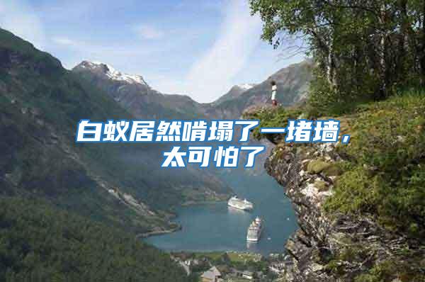 白蟻居然啃塌了一堵墻，太可怕了