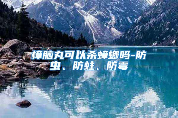 樟腦丸可以殺蟑螂嗎-防蟲、防蛀、防霉