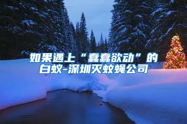 如果遇上“蠢蠢欲動(dòng)”的白蟻-深圳滅蚊蠅公司
