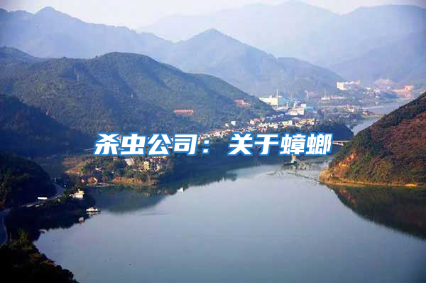 殺蟲公司：關于蟑螂