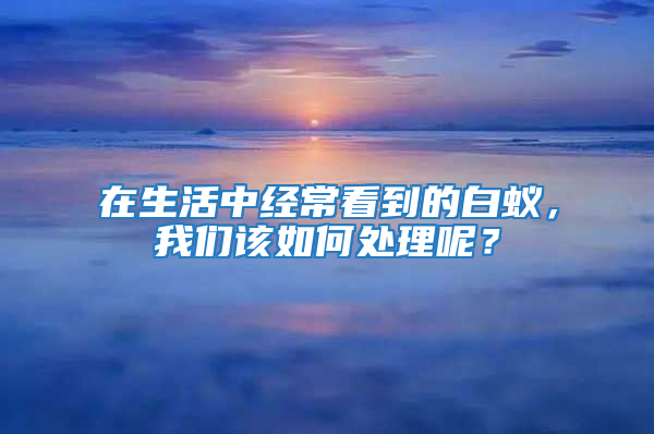 在生活中經常看到的白蟻，我們該如何處理呢？