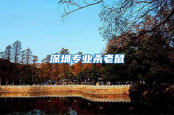 深圳專業殺老鼠