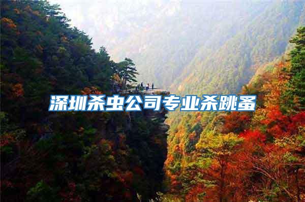 深圳殺蟲公司專業殺跳蚤